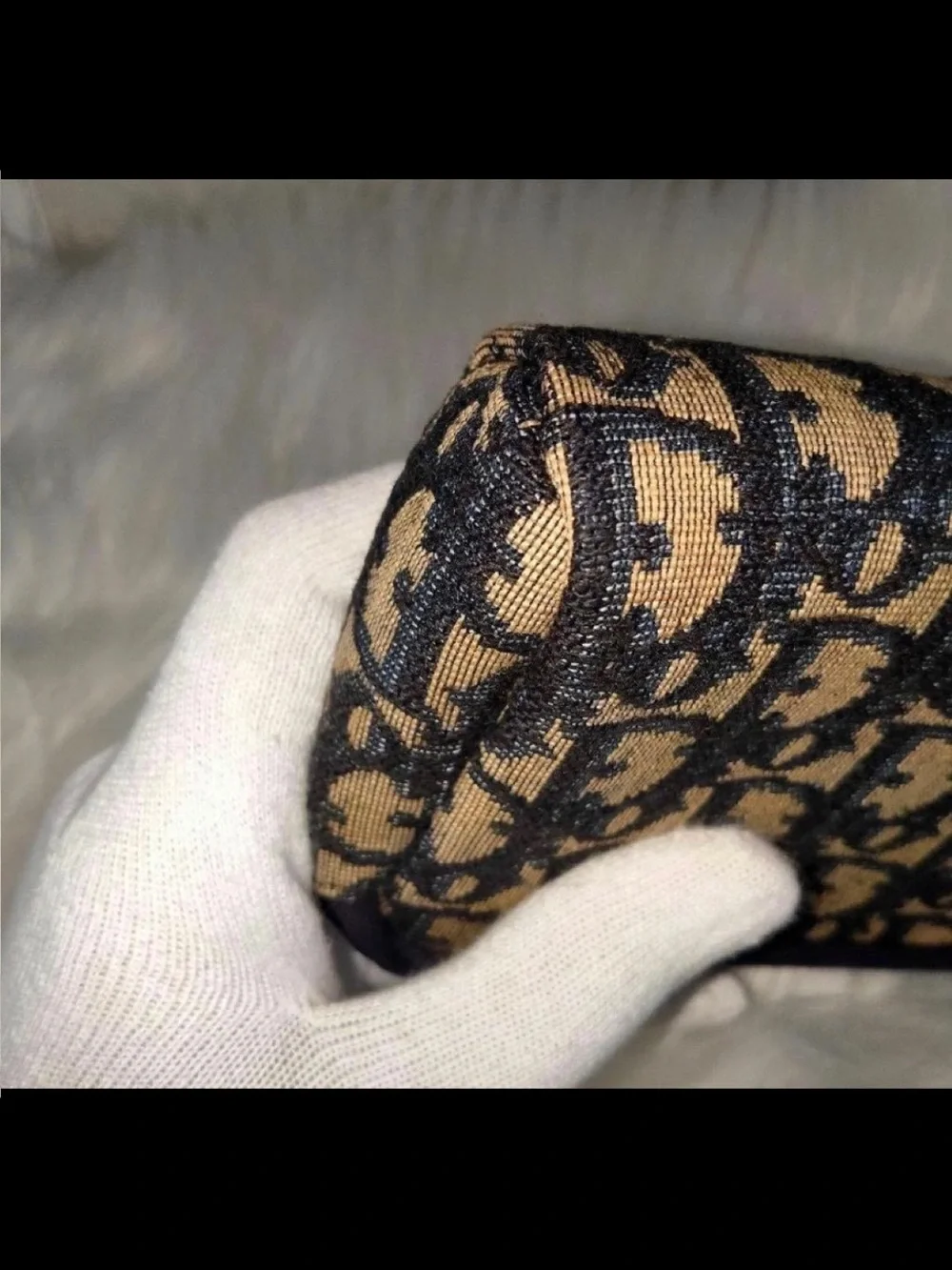 Dior classic monogram